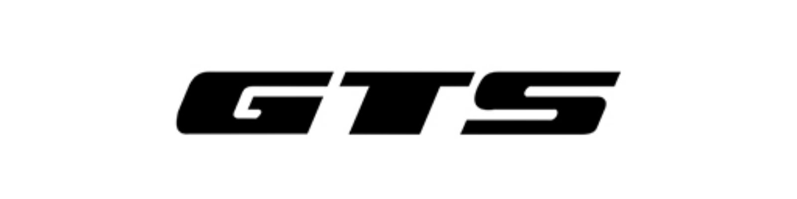 Logomarca GTS M1